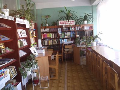 Библиотека лицея работает ежедневно с 10.00 до 16.00